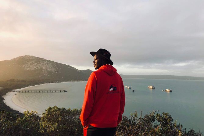 West Coast National Park private tour - A Deep Dive into the West Coast National Park Private Tour