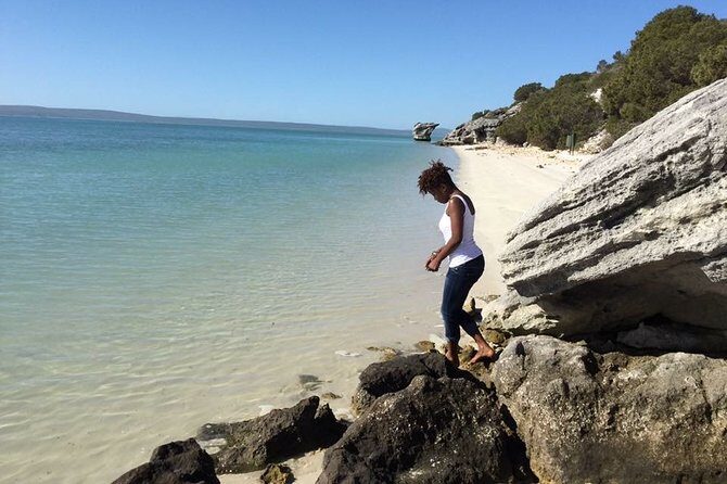 West Coast National Park private tour - The Sum Up: Who Should Consider This Tour?