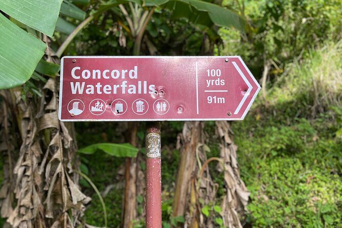 West Coast: Rum Distillery, Concord waterfall, Nutmeg processing - Key Points