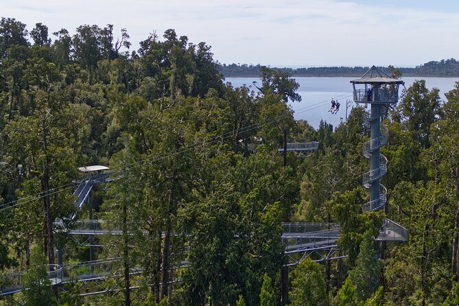 West Coast Tower Zipline & Treetop Walk Combo - Practical Details: What Travelers Need to Know