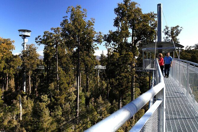West Coast Tower Zipline & Treetop Walk Combo - Who Should Consider This Tour?