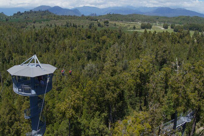 West Coast Tower Zipline & Treetop Walk Combo - The Sum Up