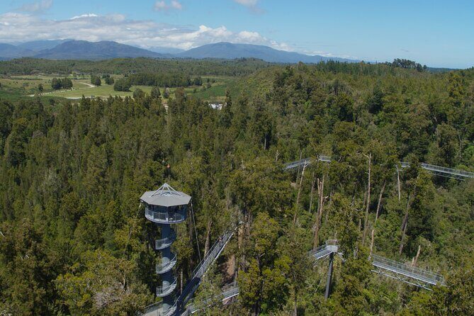 West Coast Tower Zipline & Treetop Walk Combo - FAQ