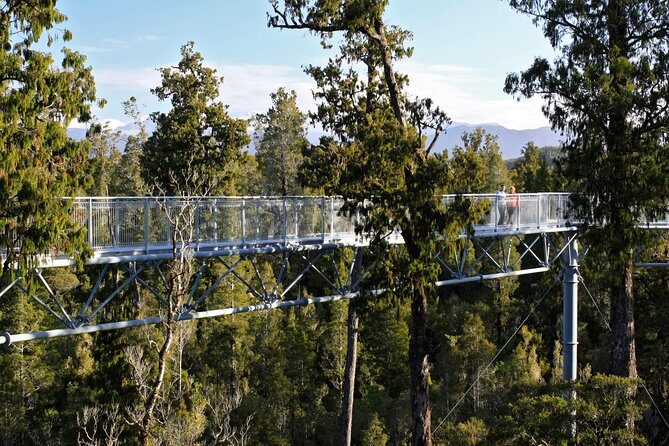 West Coast Treetop Walk - Exploring the West Coast Treetop Walk: An Authentic Canopy Experience in Greymouth