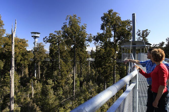 West Coast Treetop Walk - Key Points