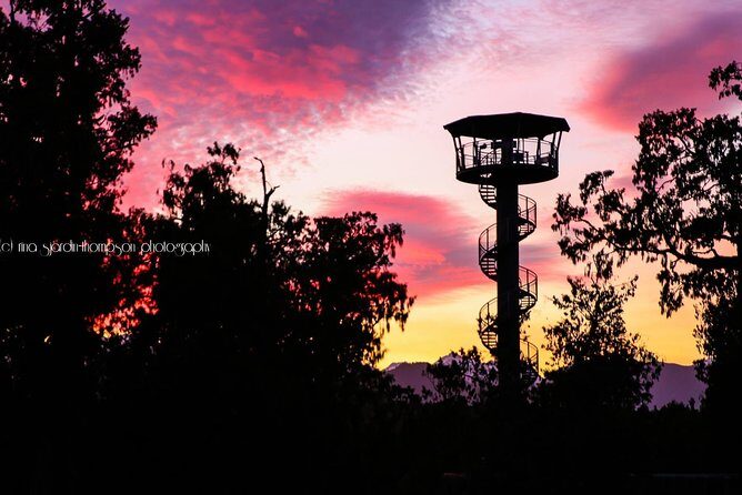 West Coast Treetop Walk - Who Should Consider Visiting the West Coast Treetop Walk?