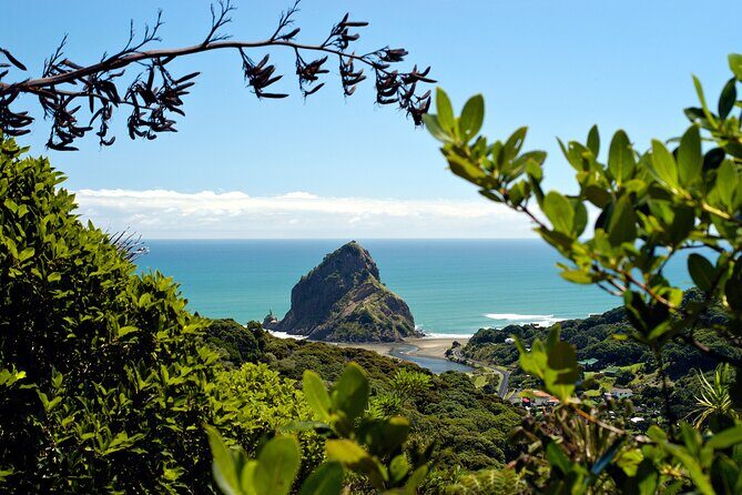 West Coast Wilderness Experience - Private Tour From Auckland - An In-Depth Look at the West Coast Wilderness Tour