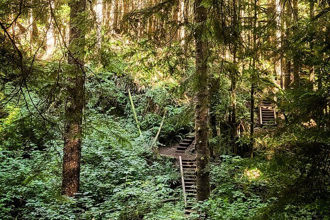 West Coast Wildlife Rainforest Waterfall and Beaches - Frequently Asked Questions