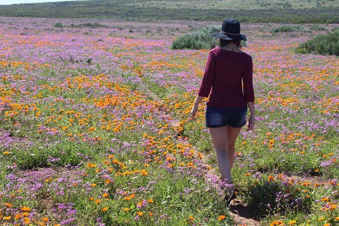 West Coast Wonders Full Day Tour with Private Transfer - An In-Depth Look at the West Coast Wonders Tour