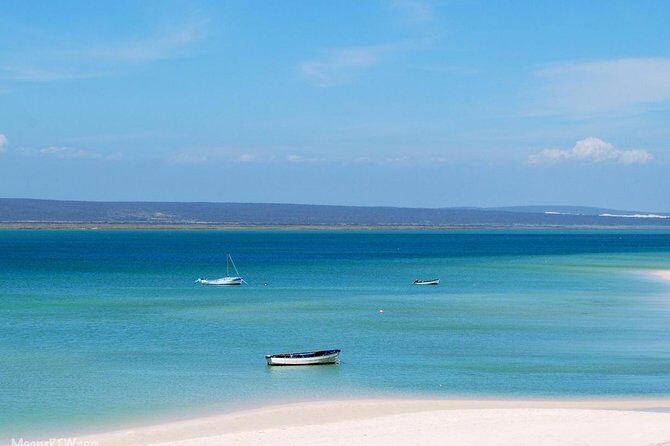 West Coast Wonders Full Day Tour with Private Transfer - Frequently Asked Questions