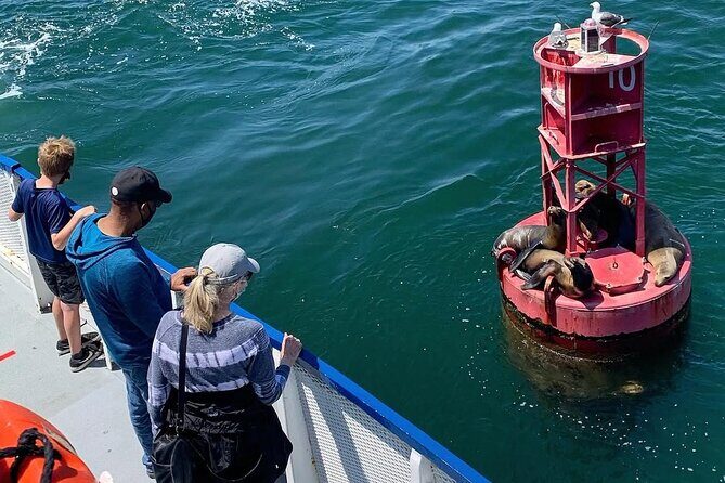 West Harbor LA 45-Minute Narrated Harbor Cruise of San Pedro - Who Will Love This Tour?