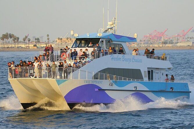 West Harbor LA Whale and Dolphin Watching Cruise - What Reviewers Say