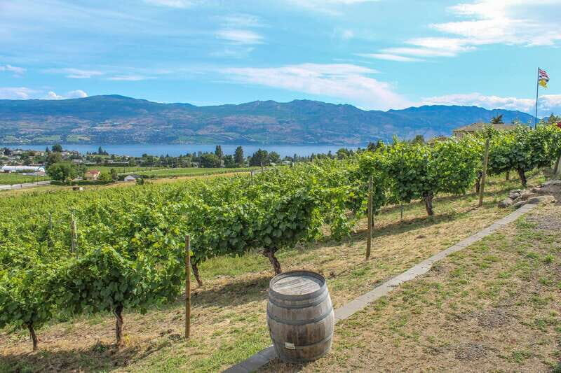 West Kelowna: Afternoon Sightseeing and Wine Tour - A Deep Dive into the Experience