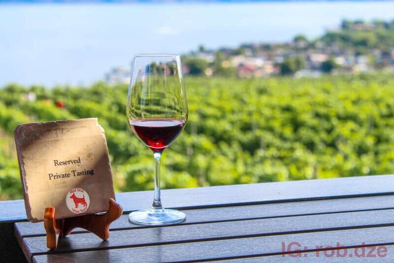 West Kelowna: Afternoon Sightseeing and Wine Tour - The Sum Up: Who Will Love This Tour?