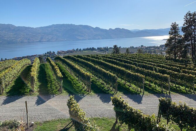 West Kelowna Full Day Wine Tour - Why the West Kelowna Full Day Wine Tour Is Worth Considering