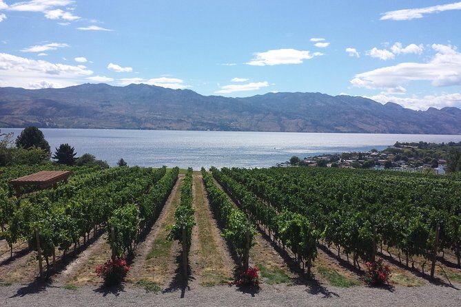 West Kelowna Gallery Of Grapes Wine Tour - What to Expect from the West Kelowna Gallery Of Grapes Wine Tour