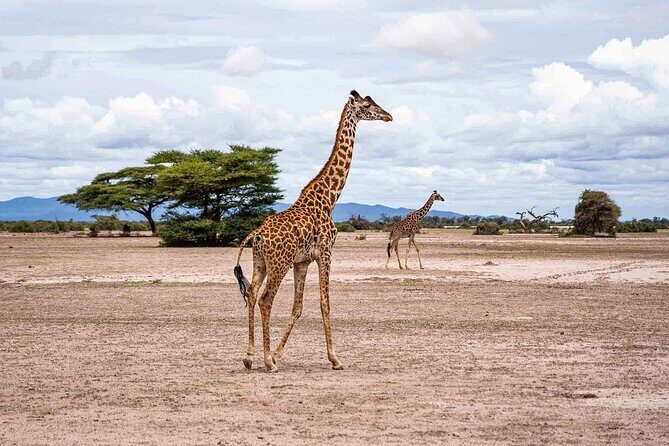 West Kilimanjaro cycling Adventures - What the Reviews Tell Us
