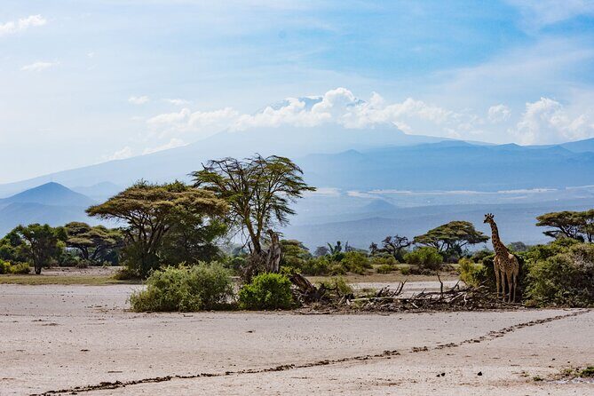 West Kilimanjaro cycling Adventures - The Sum Up: Is It Worth It?