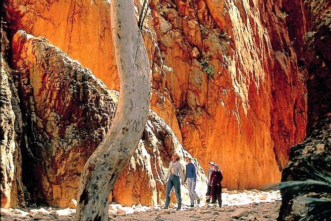 West MacDonnell Ranges Day Trip from Alice Springs - An In-Depth Look at What to Expect