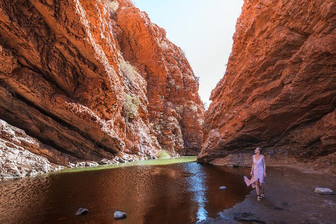 West MacDonnell Ranges- Half Day Trip from Alice Springs - FAQs