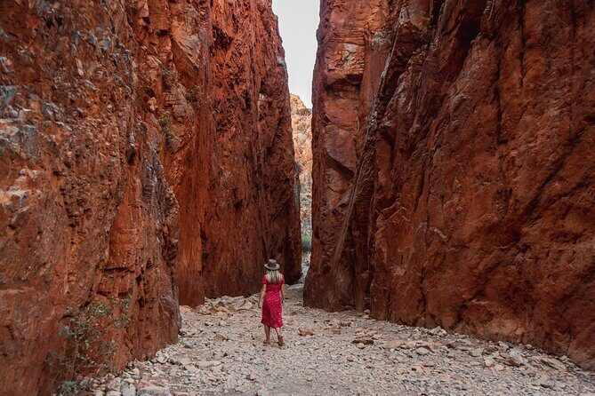 West MacDonnell Ranges Tour from Alice Springs - Key Points
