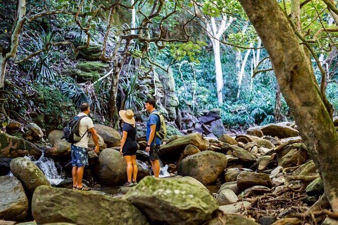 West Maui Adventure Tour with Private Guide - Introduction: A Truly Personal Maui Experience