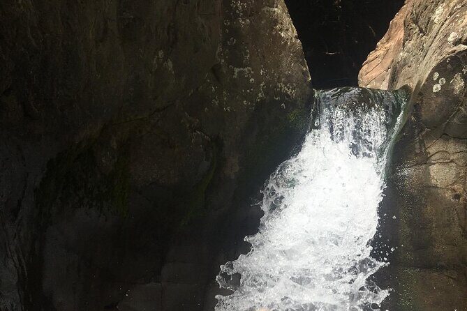 West Maui Adventure Tour with Private Guide - Authentic Feedback from Travelers