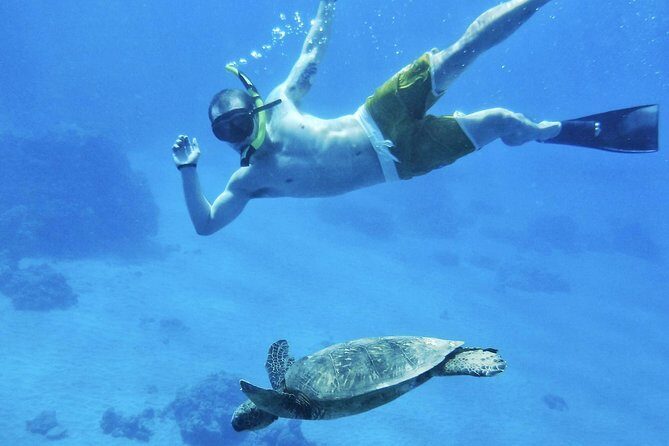 West Maui Half Day Snorkel from Kaanapali Beach - Itinerary and Snorkel Stops