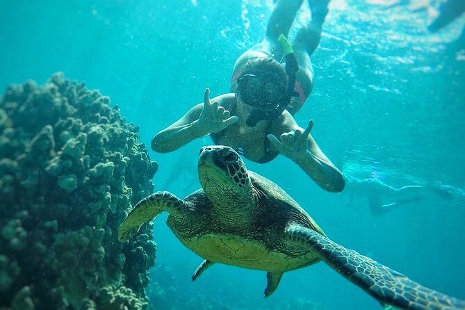 West Maui Half Day Snorkel from Kaanapali Beach - Overall Value and Experience