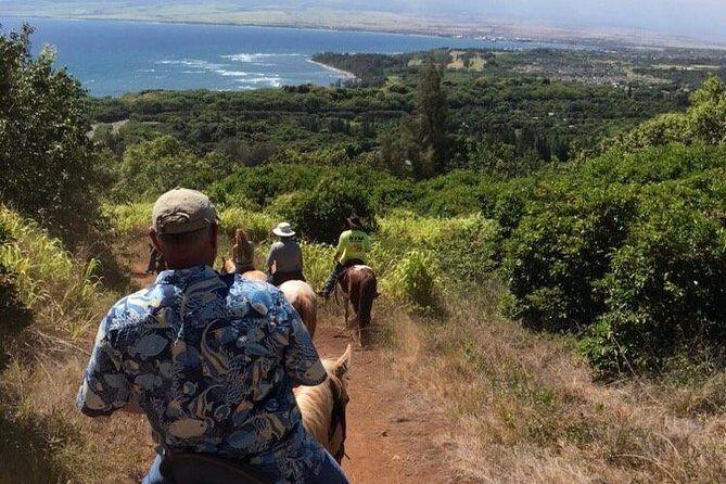 West Maui Mountain Waterfall and Ocean Tour via Horseback - Group Size, Timing, and Practicalities