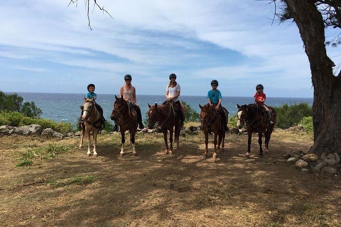 West Maui Mountain Waterfall and Ocean Tour via Horseback - Final thoughts