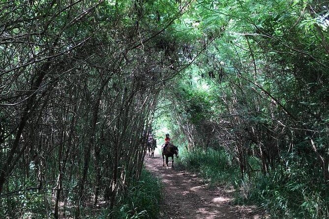 West Maui Mountain Waterfall and Ocean Tour via Horseback - Frequently Asked Questions