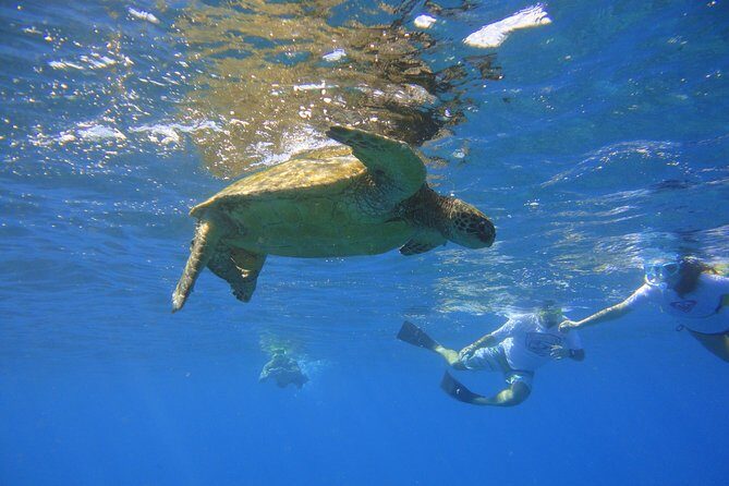 West Maui Snorkeling Experience by Boat from Ka'anapali - Why This Snorkeling Tour Stands Out
