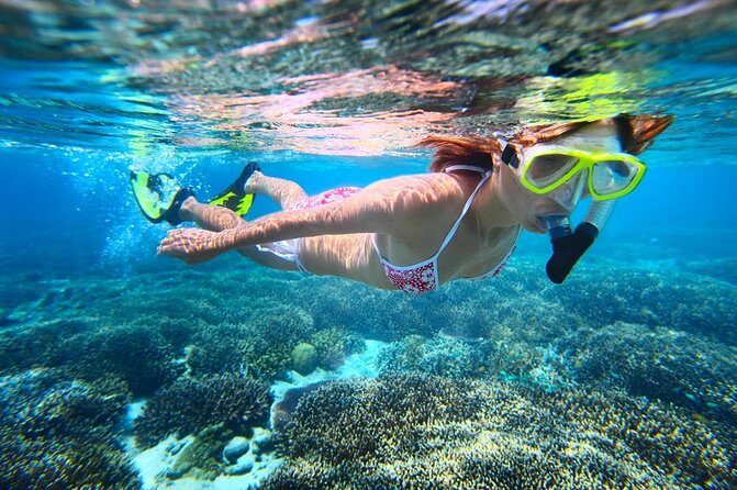 West Oahu Green Sea Turtle and Dolphin Snorkel Sail with Lunch - Who Should Consider This Tour?
