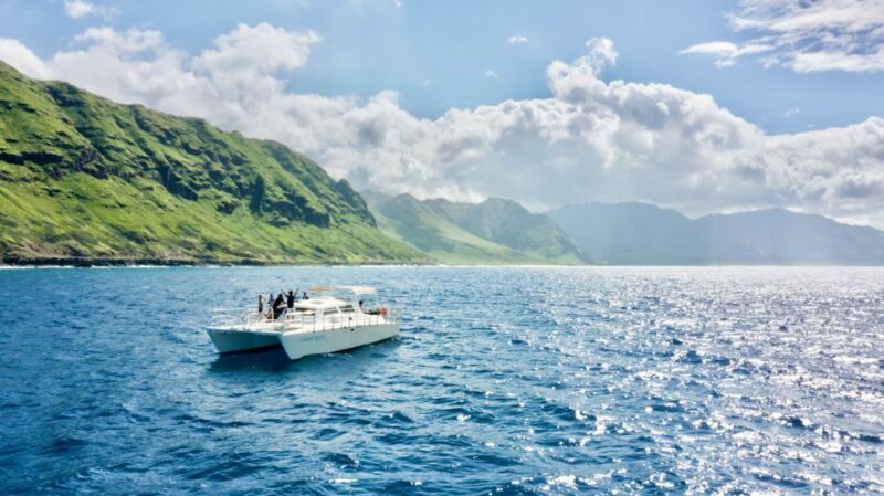 West O'ahu: Swim with Dolphins Catamaran Cruise - The Experience in Detail