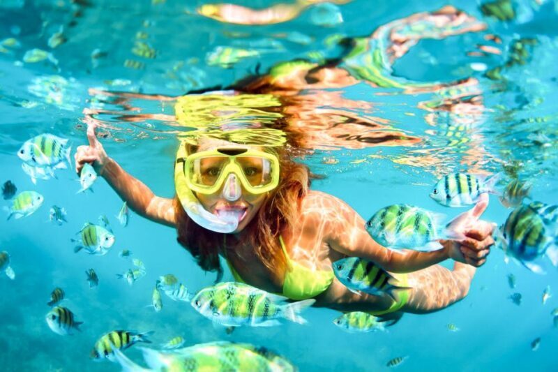 West Oahu: Turtles, Dolphins, and Snorkeling Tour with Lunch - Who Should Consider This Tour?