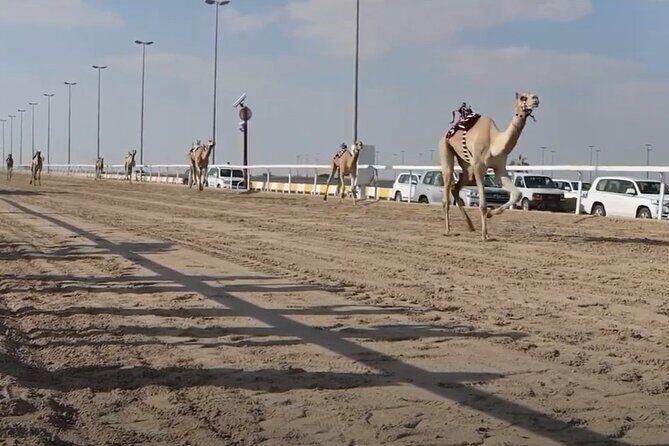 West Of Qatar, Mushroom Rocks, Camel Racing Track, Richard Serra - FAQs