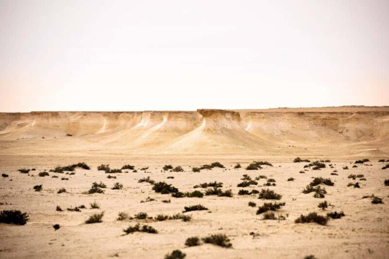 West of Qatar Richard Serra, Mushroom Hills, CamelRace track - How to Make the Most of This Tour