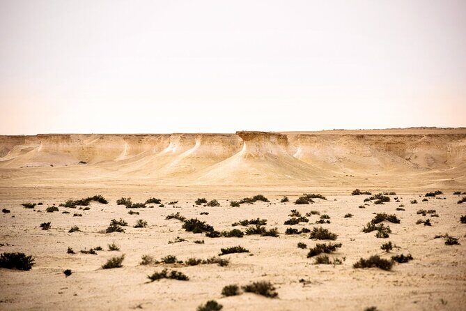 West of Qatar Tour || Richard Serra || Mushroom Rock Formation - An In-Depth Look at the West of Qatar Tour