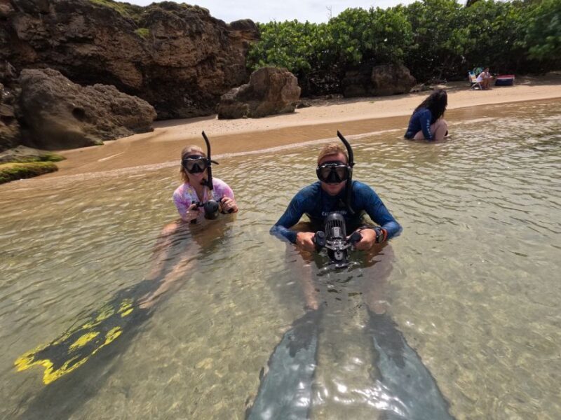 West Palm Beach: Beginner Jet Snorkel Tour with Videos - What Is the Experience All About?