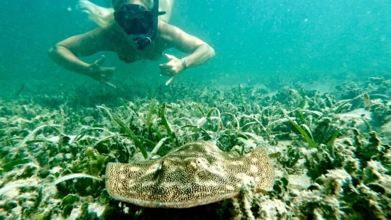 West Palm Beach: Beginner Scuba Diving Adventure with Videos - Frequently Asked Questions