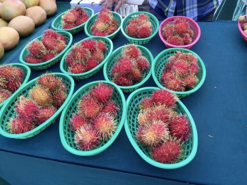 West Palm Beach: Mornings in the Market Food Tour - A Deep Dive into the Food Tour Experience