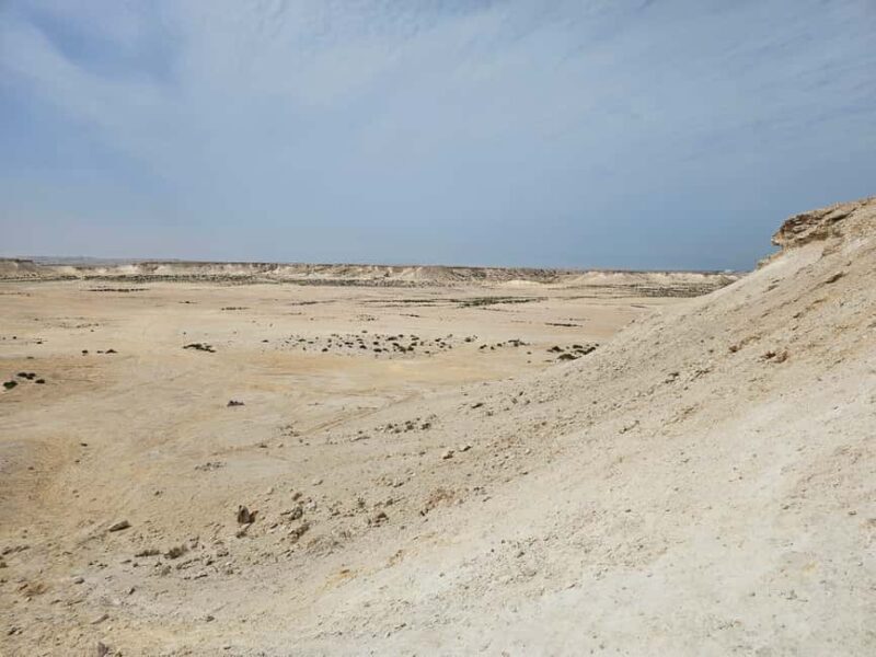 West Qatar-Doha Richard sierra,camel race,mushroom rock - Authentic Experiences and Real Reviews
