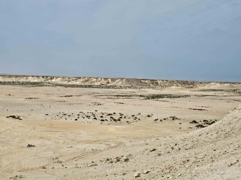 West Qatar-Doha Richard sierra,camel race,mushroom rock - The Value Proposition
