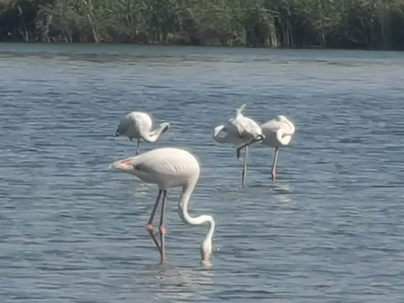 West Salalah Tour by VisitSalalah - Final Thoughts