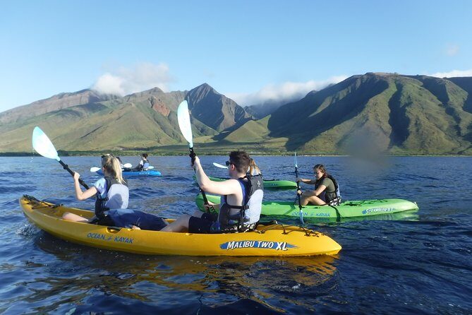 West Side Discovery Kayak & Snorkel Tour - A Practical Look at the Tour