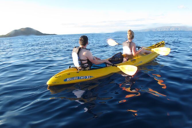 West Side Discovery Kayak & Snorkel Tour - Why This Tour Works Well for Travelers