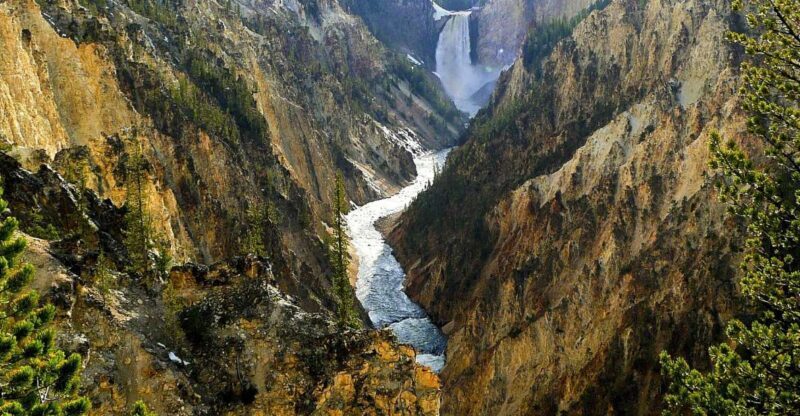 West Yellowstone: Yellowstone Day Tour Including Entry Fee - Key Points