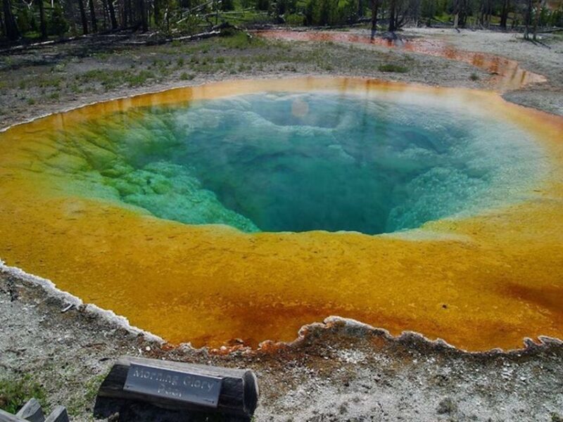 West Yellowstone: Yellowstone Day Tour Including Entry Fee - Exploring Yellowstone’s Top Sights
