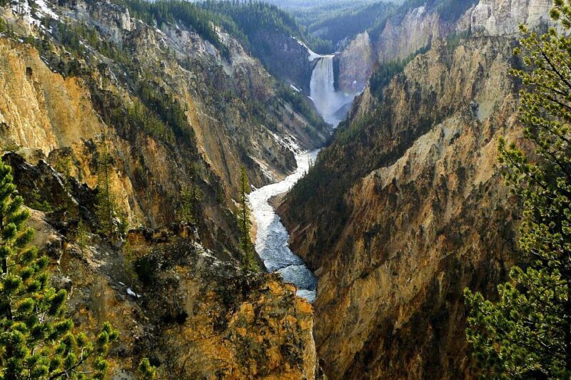 West Yellowstone: Yellowstone Day Tour Including Entry Fee - The Value of Guided Tours in Yellowstone